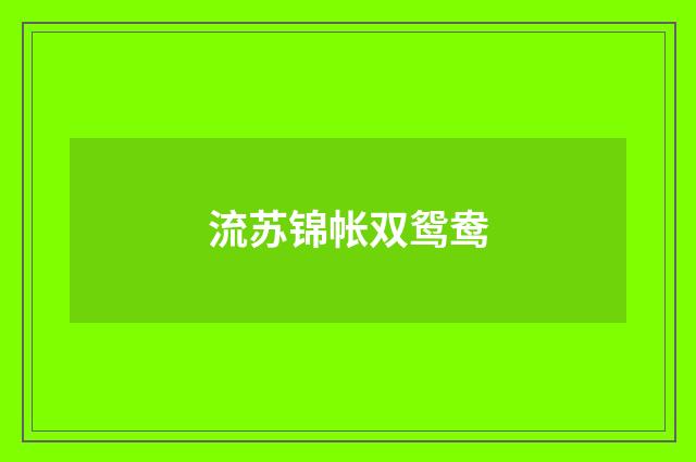 流苏锦帐双鸳鸯
