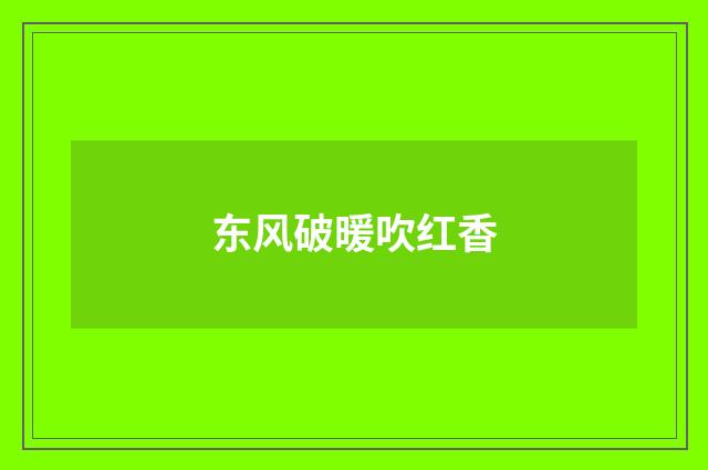 东风破暖吹红香