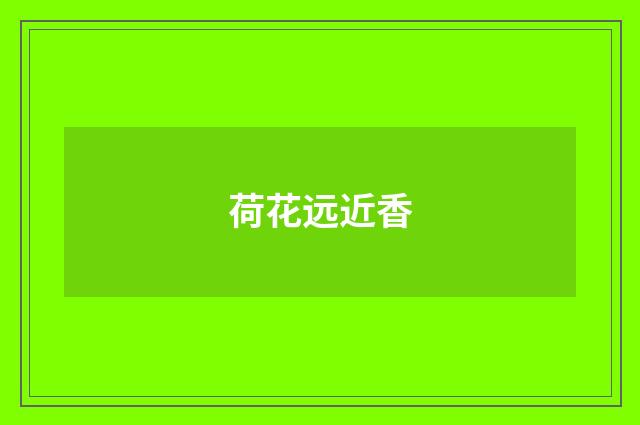 荷花远近香