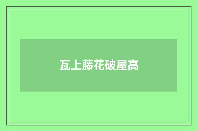 瓦上藤花破屋高