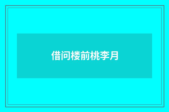 借问楼前桃李月