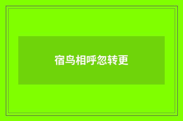 宿鸟相呼忽转更