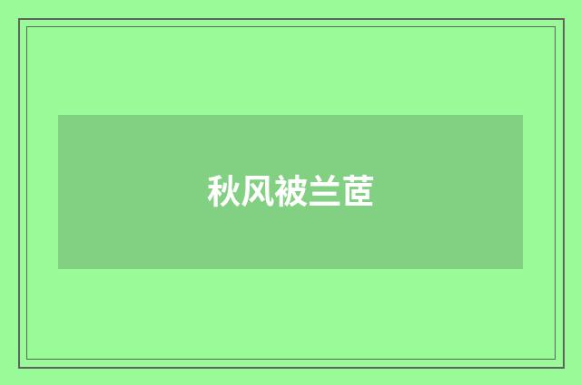 秋风被兰茝