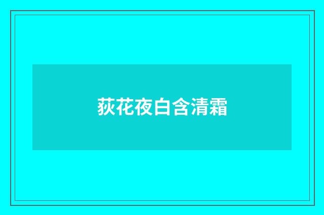 荻花夜白含清霜