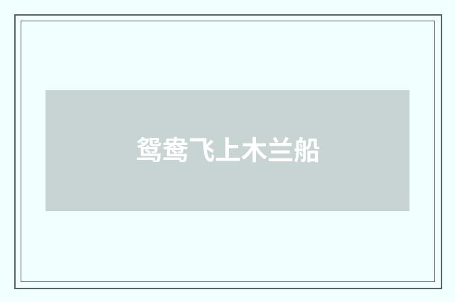鸳鸯飞上木兰船