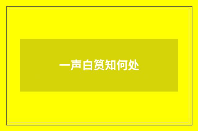 一声白筼知何处
