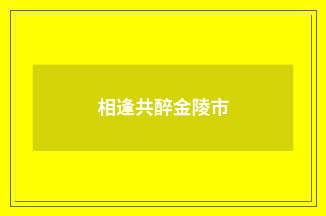 相逢共醉金陵市