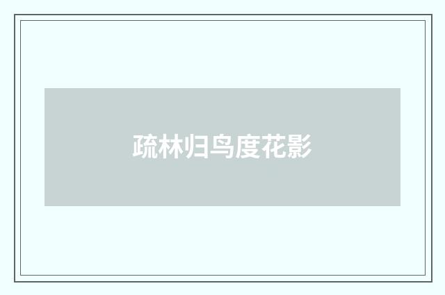 疏林归鸟度花影