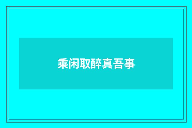 乘闲取醉真吾事
