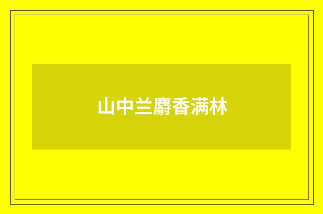 山中兰麝香满林