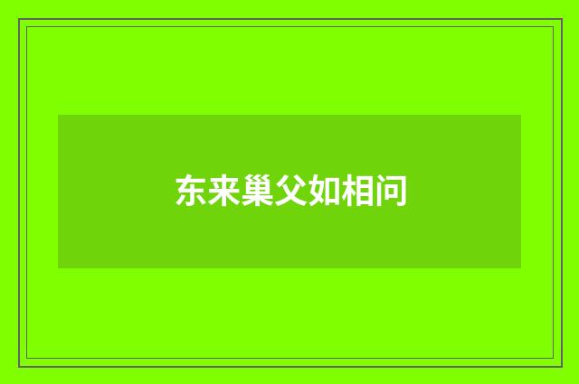 东来巢父如相问