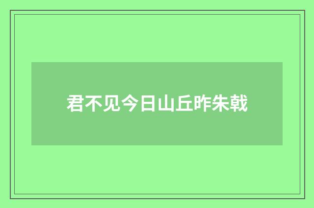 君不见今日山丘昨朱戟