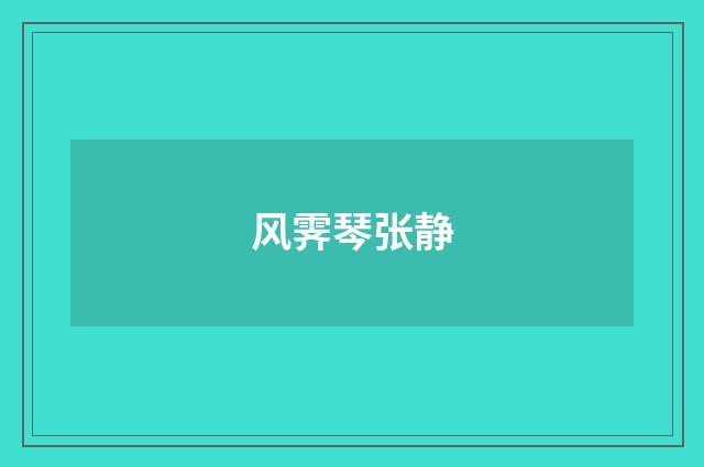 风霁琴张静