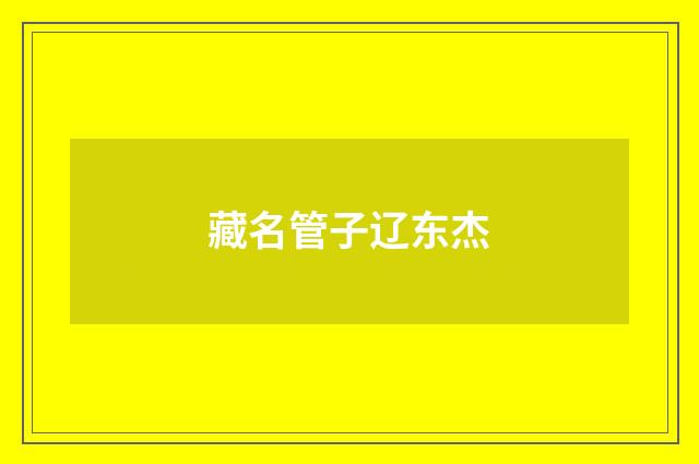 藏名管子辽东杰