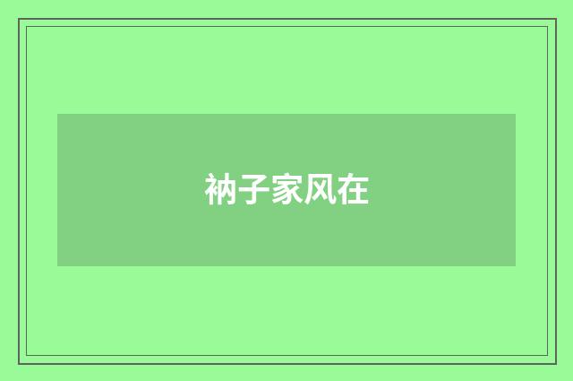 衲子家风在