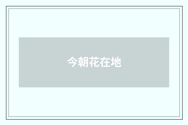 今朝花在地