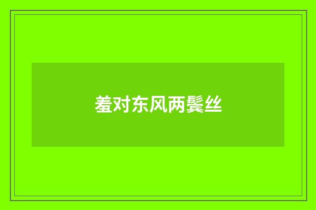 羞对东风两鬓丝
