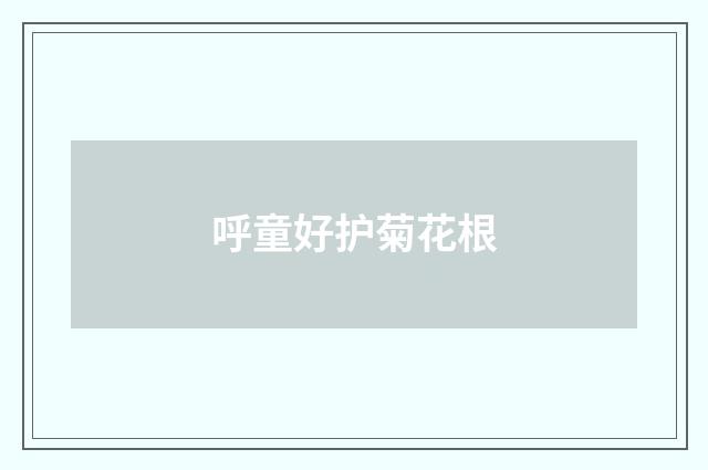 呼童好护菊花根