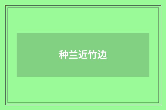 种兰近竹边