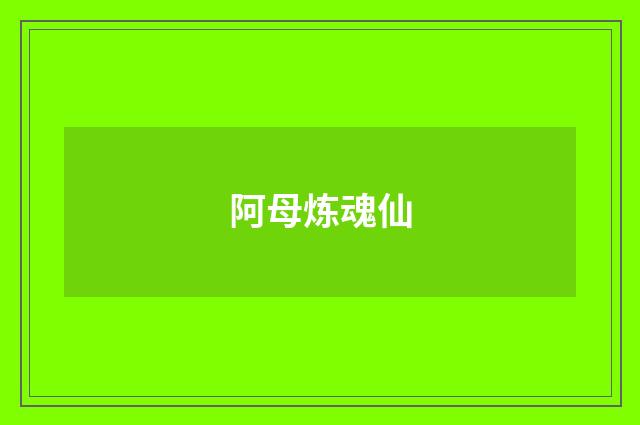 阿母炼魂仙