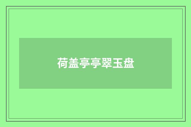 荷盖亭亭翠玉盘