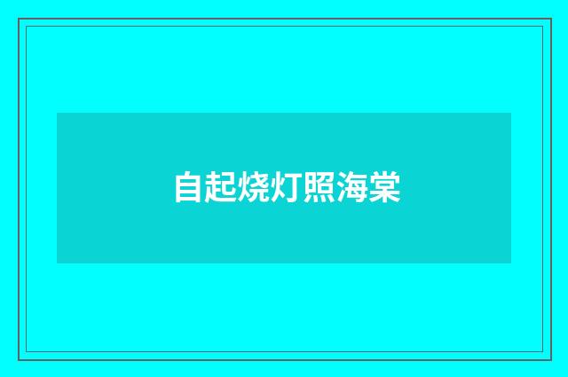 自起烧灯照海棠