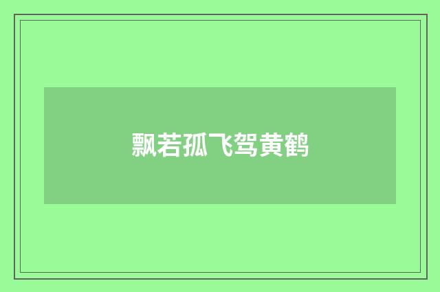 飘若孤飞驾黄鹤