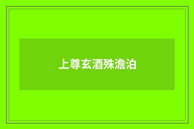 上尊玄酒殊澹泊