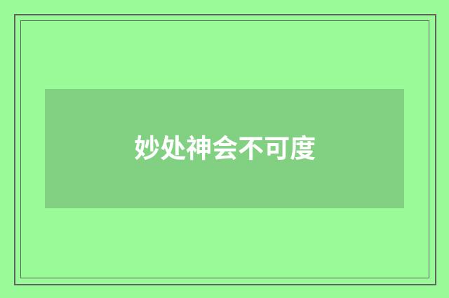 妙处神会不可度