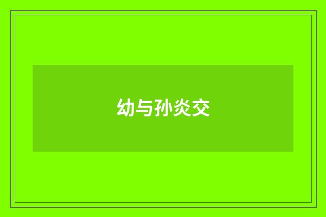 幼与孙炎交