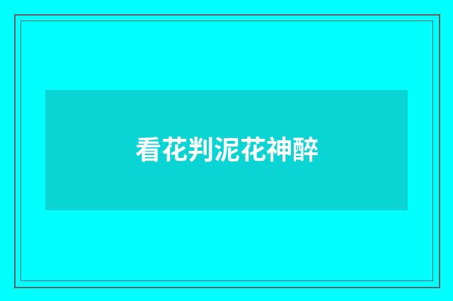 看花判泥花神醉