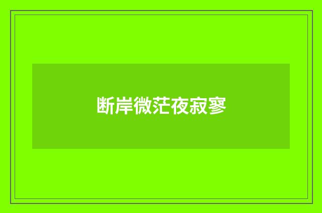 断岸微茫夜寂寥