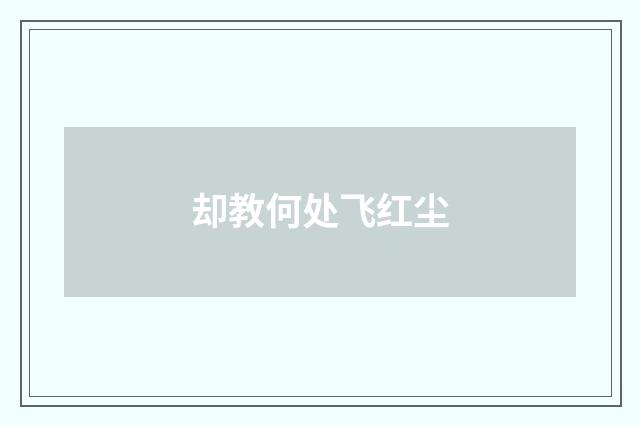 却教何处飞红尘