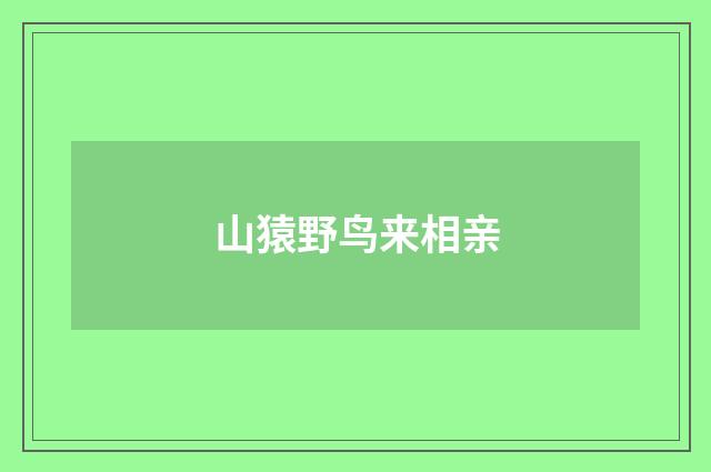 山猿野鸟来相亲