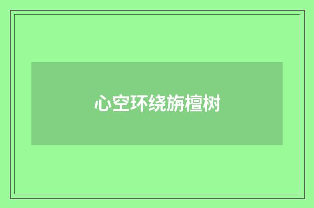 心空环绕旃檀树
