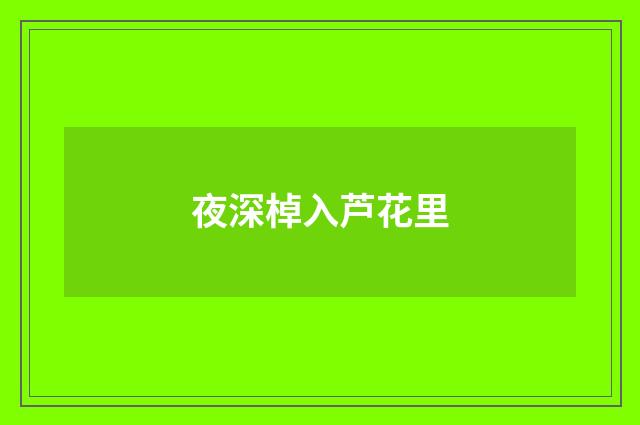 夜深棹入芦花里