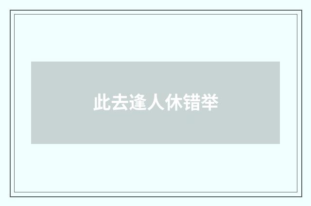 此去逢人休错举