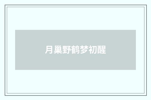 月巢野鹤梦初醒