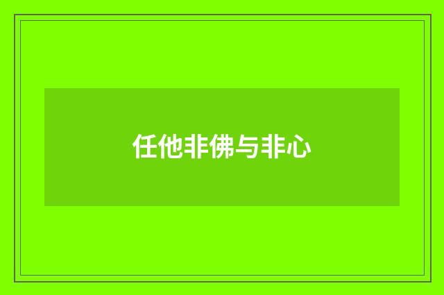 任他非佛与非心