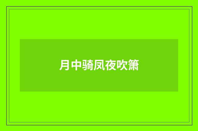 月中骑凤夜吹箫
