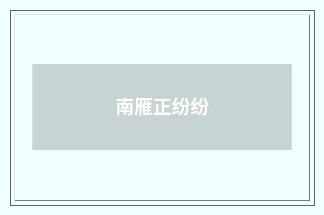 南雁正纷纷
