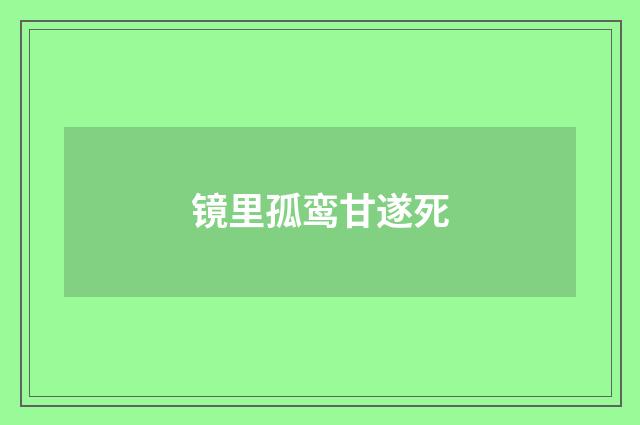 镜里孤鸾甘遂死