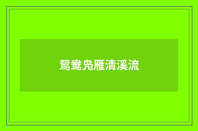 鸳鸯凫雁清溪流