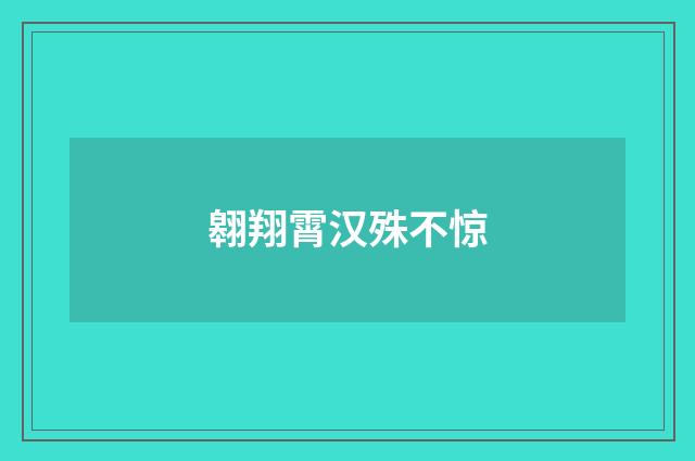 翱翔霄汉殊不惊