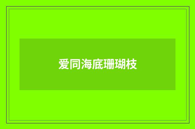 爱同海底珊瑚枝