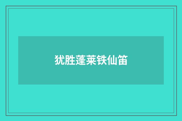 犹胜蓬莱铁仙笛
