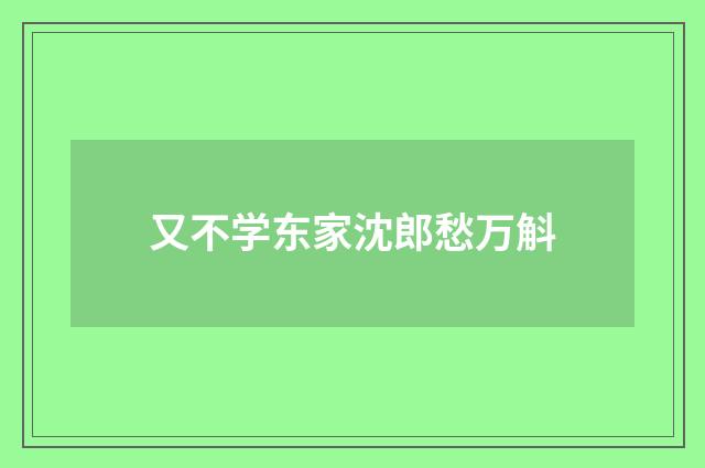 又不学东家沈郎愁万斛