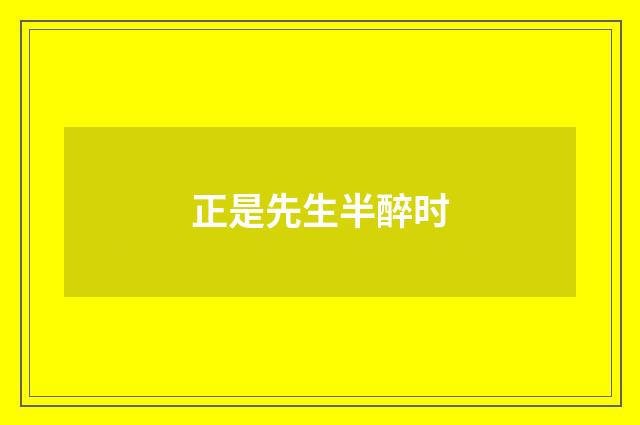 正是先生半醉时