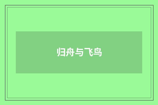 归舟与飞鸟