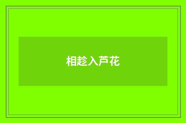 相趁入芦花